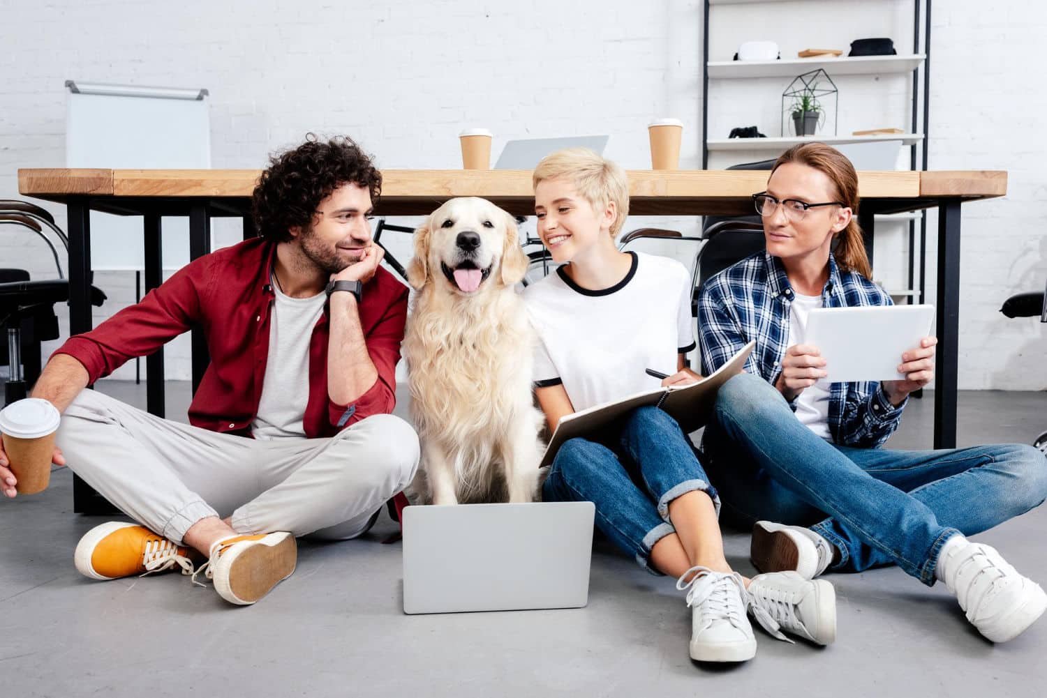 startup assurance startup